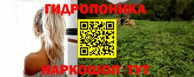 сатива Бузулук