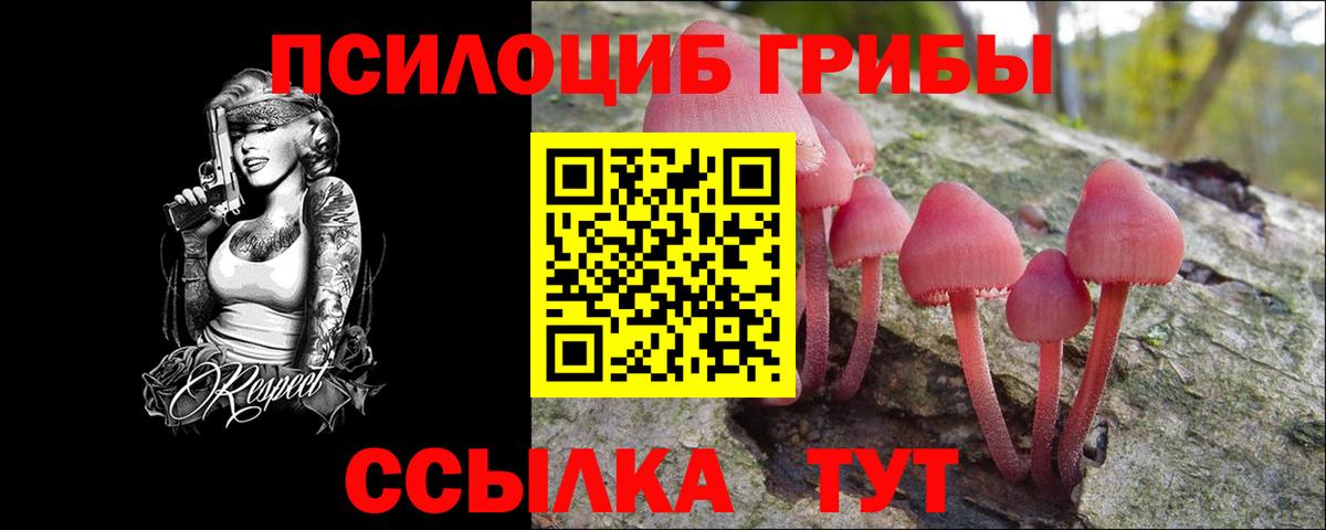 купить  цена  Галлюциногенные грибы прущие грибы  Вход с VPN  Раменское 